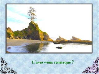 L’avez-vous remarqué ? 