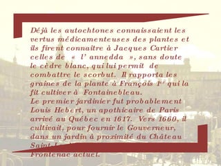 Déjà les autochtones connaissaient les vertus médicamenteuses des plantes et ils firent connaître à Jacques Cartier celles de  « l’annedda », sans doute le cèdre blanc, qui lui permit  de combattre le scorbut.  Il rapporta les graines de la plante à François 1 er  qui la fit cultiver à  Fontainebleau.  Le premier jardinier fut probablement Louis Hebert, un apothicaire de Paris arrivé au Québec en 1617.  Vers 1660, il cultivait, pour fournir le Gouverneur, dans un jardin à proximité du Château Saint-Louis, à la place du Château Frontenac actuel. 