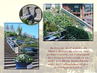 Au-dessus de l’entrée du Musée des civilisations, des jardins encore, en compagnie des deux hérons réalisés en 2003 par Denis Saint-Pierre avec de l’aluminium et des matériaux recyclés. 