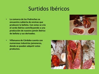 Surtidos Ibéricos La comarca de los Pedroches se encuentra cubierta de encinas que producen la bellota. Con estas se cría el cerdo ibérico contribuyendo a una producción de nuestro jamón ibérico de bellota y sus derivados.  Villanueva de Córdoba cuenta con numerosas industrias jamoneras, donde se pueden adquirir estos productos. 
