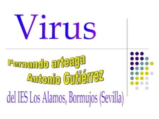 del IES Los Alamos, Bormujos (Sevilla) Fernando arteaga Antonio Gutiérrez Virus 