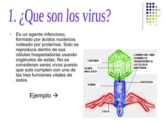 Es un agente infeccioso, formado por ácidos nucleicos rodeado por proteínas. Solo se reproduce dentro de sus células hospedadoras usando orgánulos de estas. No se consideran seres vivos puesto que solo cumplen con una de las tres funciones vitales de estos. Ejemplo   1. ¿Que son los virus? 