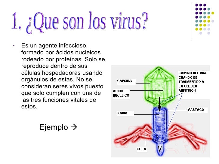 Los Virus de Fernando y Antonio