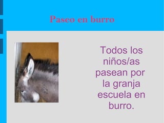 Paseo en burro


          Todos los
           niños/as
         pasean por
          la granja
         escuela en
            burro.
 