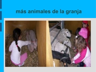 más animales de la granja
 