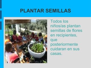 PLANTAR SEMILLAS

         Todos los
         niños/as plantan
         semillas de flores
         en recipientes,
         que
         posteriormente
         cuidaran en sus
         casas.
 