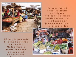 Le marché où tous les fruits exotiques côtoient les fruits continentaux car, Madagascar jouissant de tous les climats, les cultures sont variées. Hélas, le pouvoir d’achat est très bas et les Malgaches à petits revenus ne peuvent acheter ces denrées. 