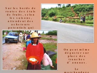 Sur les bords de routes des étals de fruits, selon les saisons, attendent des acheteurs potentiels qui circulent en voiture.  On peut même déguster sur place des tranches d’ananas. Le marchandage est de rigueur. 