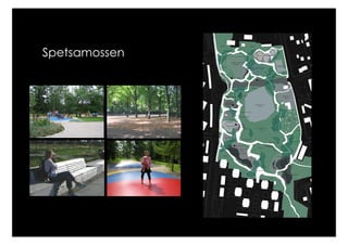Spetsamossen
 