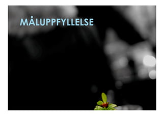 MÅLUPPFYLLELSE
 