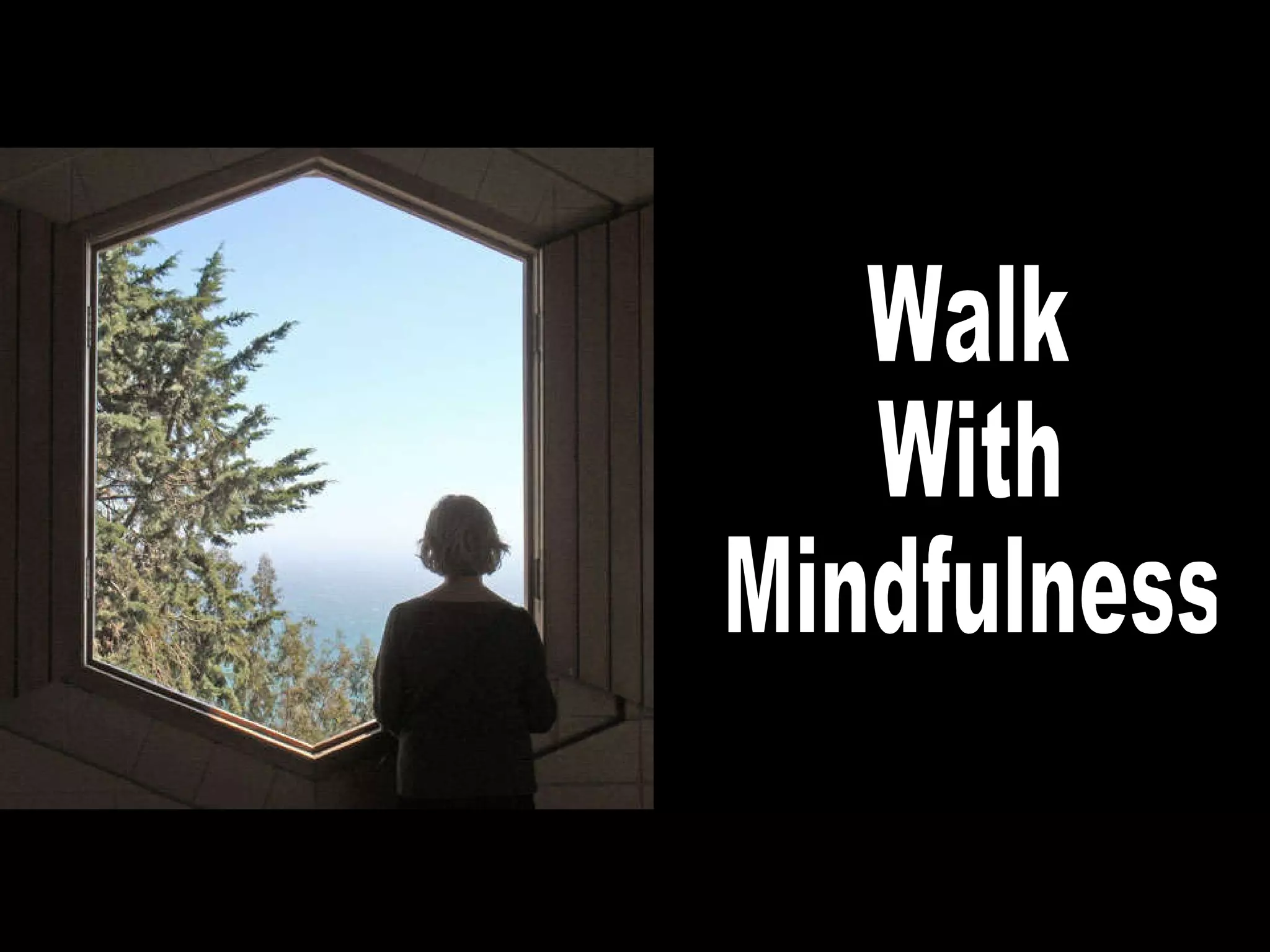 Walk With Mindfulness 