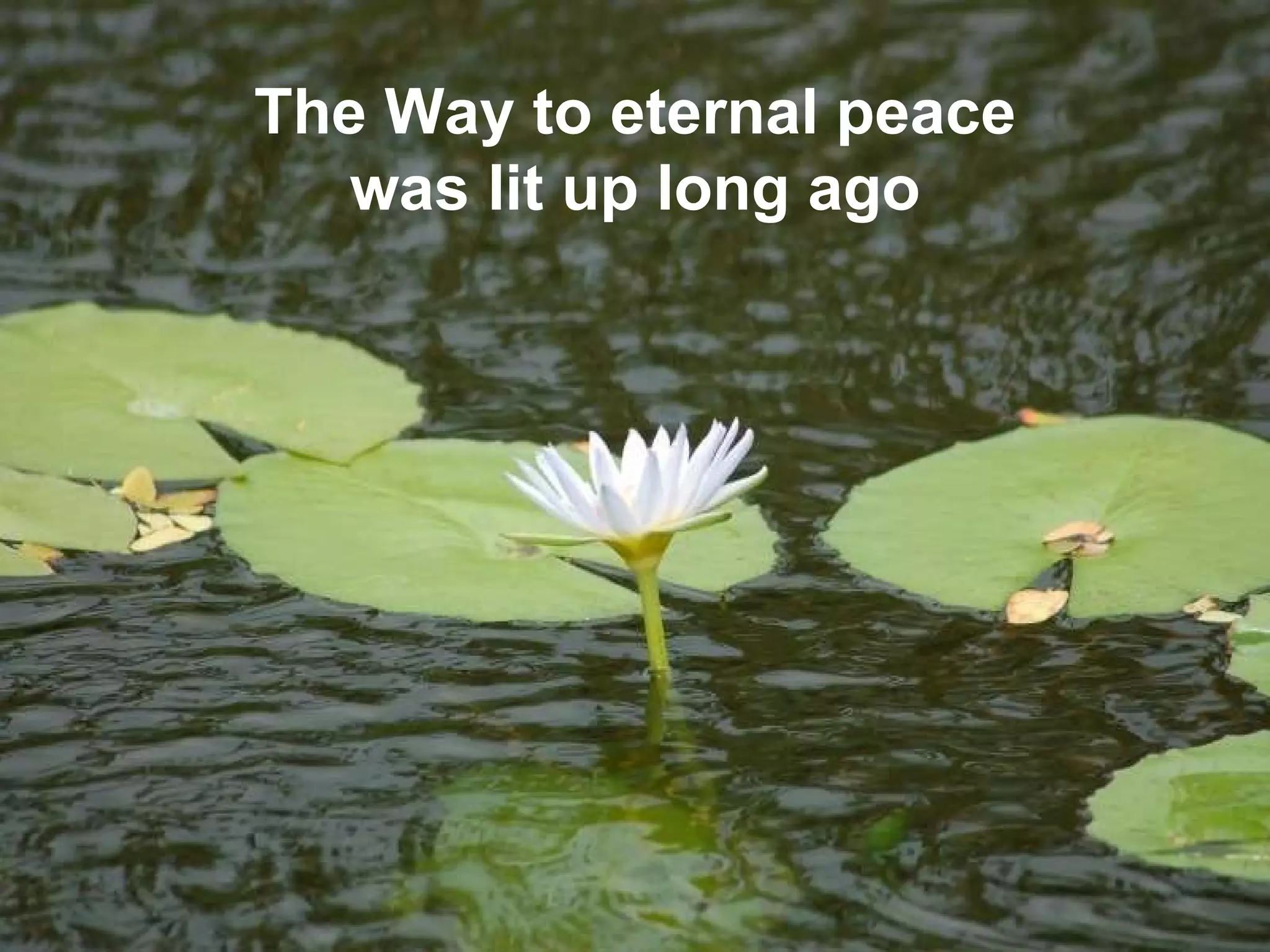 The Way to eternal peace was lit up long ago 