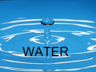 WATER 