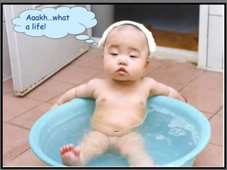 Aaakh…what  a life! 