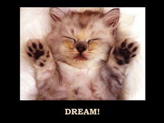 DREAM! 