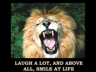 LAUGH A LOT, AND ABOVE ALL, SMILE AT LIFE 