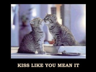 KISS LIKE YOU MEAN IT 