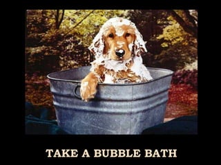 TAKE A BUBBLE BATH 