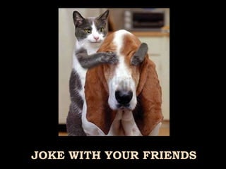 JOKE WITH YOUR FRIENDS 