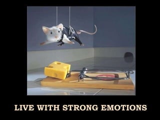 LIVE WITH STRONG EMOTIONS 