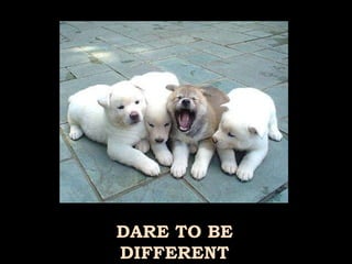 DARE TO BE DIFFERENT 