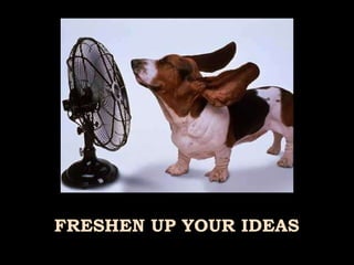 FRESHEN UP YOUR IDEAS 
