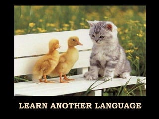 LEARN ANOTHER LANGUAGE 