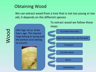 Wood Obtaining Wood We can extract wood from a tree that is not too young or too old, it depends on the different species To extract wood we follow these steps: Cut down the trees Transport Clean the branches and the bark Cut the wood Dry it Distribution Life rings  let us  know tree´s age. The clearest rings belong to spring and the darkest ones belong to autumn. 