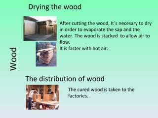 The distribution of wood Wood Drying the wood After cutting the wood, It´s necesary to dry in order to evaporate the sap and the water. The wood is stacked  to allow air to flow. It is  faster  with hot air. The cured wood is taken to the factories. 