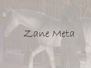 Zane Meta
 
