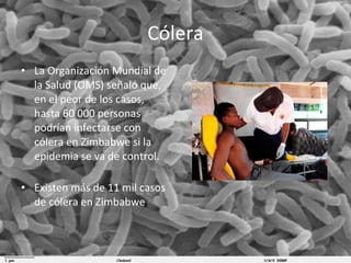 Cólera La Organización Mundial de la Salud (OMS) señaló que, en el peor de los casos, hasta 60 000 personas podrían infectarse con cólera en Zimbabwe si la epidemia se va de control. Existen más de 11 mil casos de cólera en Zimbabwe  
