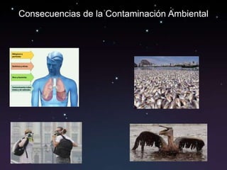 Consecuencias de la Contaminación Ambiental
 