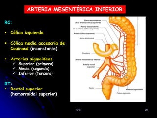 CFC - Arterias Del Abdomen.pptx