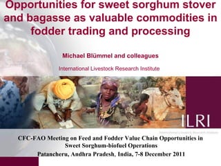 Opportunities for sweet sorghum stover and bagasse as valuable commodities in fodder trading and processing Michael Blümmel and colleagues International Livestock Research Institute   CFC-FAO Meeting on Feed and Fodder Value Chain Opportunities in  Sweet Sorghum-biofuel Operations Patancheru, Andhra Pradesh ,   India, 7-8 December 2011 