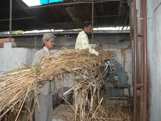 Opportunities for sweet sorghum stover and bagasse as valuable commodities in fodder trading and processing