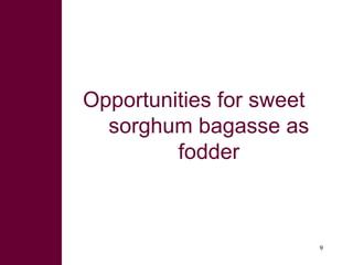 Opportunities for sweet sorghum stover and bagasse as valuable commodities in fodder trading and processing
