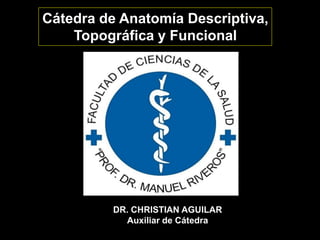 DR. CHRISTIAN AGUILAR
Auxiliar de Cátedra
Cátedra de Anatomía Descriptiva,
Topográfica y Funcional
 