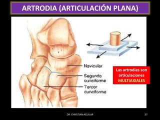 generalidades-articula-es-anatomicas-medica-pptx