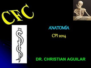 ANATOMÍA
CPI 2014
DR. CHRISTIAN AGUILAR
 