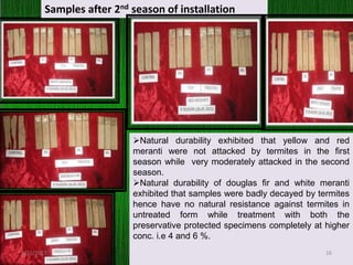 Samples after 2nd season of installation
Natural durability exhibited that yellow and red
meranti were not attacked by termites in the first
season while very moderately attacked in the second
season.
Natural durability of douglas fir and white meranti
exhibited that samples were badly decayed by termites
hence have no natural resistance against termites in
untreated form while treatment with both the
preservative protected specimens completely at higher
conc. i.e 4 and 6 %.
5/31/2017 16
 