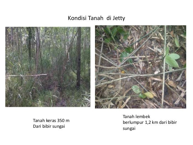 BCPC LOADING JETTY AND STOCK PILE Presentation
