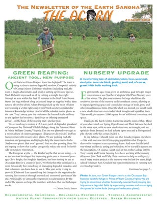 THE AC RNTHE AC RN AUGUST 2014AUGUST 2014
The Newsletter of the Earth SanghaThe Newsletter of the Earth Sangha
Environmental Awareness . Ecological Restoration . Tropical Agroforestry
Native Plant Propagation from Local Ecotypes . Green Buddhism
Photo: In June, our Green Reapers work at the Occoquan Bay
National Wildlife Refuge in Prince William County,Virginia.We are
trying to determine whether botanically-nuanced hand-mowing can
help restore degraded fields by suppressing invasives and encouraging
the spread of native forbs (non-grass herbaceous plants).
GREEN REAPING:
ancient tool, new purpose
O
ur first-ever Green Reapers team has deployed! The team is
using scythes to restore degraded meadow. Composed entirely
of George Mason University students (including me), the
team is tough, charismatic, and great at cutting up invasive species.
Piash Debnath impressed us all by cutting a straight line right
through an acre within his first 20 minutes in the field. Amy Brown
braves the bugs without a bug jacket and keeps us supplied with a tasty
natural electrolyte drink. Aileen Dierig picked up the most efficient
way to swing a scythe right away. Doni Ward uses her considerable
botanical knowledge to steer clear of all the valuable native plants as
she cuts. Troy Lowery puts the endurance he learned in the military
to use against the invasives. I just focus on offering unneeded
advice—on the basis of the reaping that I did last year.
We are working to restore a 12.5-acre patch of degraded grassland
at Occoquan Bay National Wildlife Refuge, along the Potomac River
in Prince William County, Virginia. The site was planted years ago as
a monoculture of eastern gamagrass (Trypsacum dactyloides) and has
been overrun with invasive alien plants. We are pushing back the
invasives and gamagrass, and trying to help the many native forbs
(herbaceous plants that aren’t grasses) that are also growing there. We
are hoping to show that scythes can greatly reduce the need for herbi-
cide in meadow restoration.
The European scythe — the kind of scythe that we are using — is
an ancient tool developed for harvesting grain over a thousand years
ago. Chris Bright, the Sangha’s President, has been testing its use at
Occoquan Bay for a couple of years. We think that this technique is a
more botanically fine-tuned way of managing degraded meadow, and
that volunteers can learn how to use it. This year, we’re trying to
prove it! Chris and I are quantifying the changes in the vegetation by
running line transects through mowed and unmowed portions of the
site. Periodically, we census the vegetation in each transect. By the
end of the season, we hope the numbers will show that our technique
works.
— Diana Prado, Intern
nursery upgrade
E
ight months ago, I was given an ambitious goal to begin major
renovations at our Northern Virginia Wild Plant Nursery over
the winter. The plan was to move the large shed from the
southwest corner of the nursery to the northeast corner, allowing us
to expand growing space and consolidate storage of tools, pots, and
other miscellaneous items. Once the shed was moved, we would build
a new shade structure over cinder block troughs and sprinkler lines.
This would give us over 3,000 square feet of additional container yard
space.
Thanks to the harsh winter, I achieved exactly none of that. Those
of you who visited our Spring Open House and Plant Sale saw the shed
in the same spot, with no new shade structure, no troughs, and no
sprinkler lines. Instead, we had a dusty open area and a disorganized
pile of pots in the far corner. Nailed it.
In my defense, I should point out that I made progress elsewhere
— like with our new ArcGIS mapping capabilities that I hope to
share with everyone in an upcoming Acorn. And now that the cold,
wet winter and hectic spring are behind us, we’ve started in earnest on
the renovations. Of course, I can’t take all the credit. College interns
Troy Lowery and Emma Lanning have been working at the nursery
all season. Jim Clark and Daly Chin continue to help us with pretty
much every major project at the nursery over the last few years. High
school volunteer Sam Greulich has been instrumental in running new
overhead sprinklers.
Continued on page 2 ...
A mesmerizing tale of sprinklers, labels, hose, weed mat,
steel pipe, concrete block, grading, sand, and, of course,
gravel. Matt holds nothing back.
 