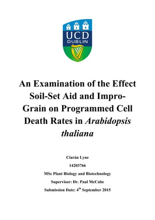 An Examination of the Effect
Soil-Set Aid and Impro-
Grain on Programmed Cell
Death Rates in Arabidopsis
thaliana
Ciarán Lyne
14203766
MSc Plant Biology and Biotechnology
Supervisor: Dr. Paul McCabe
Submission Date: 4th
September 2015
 