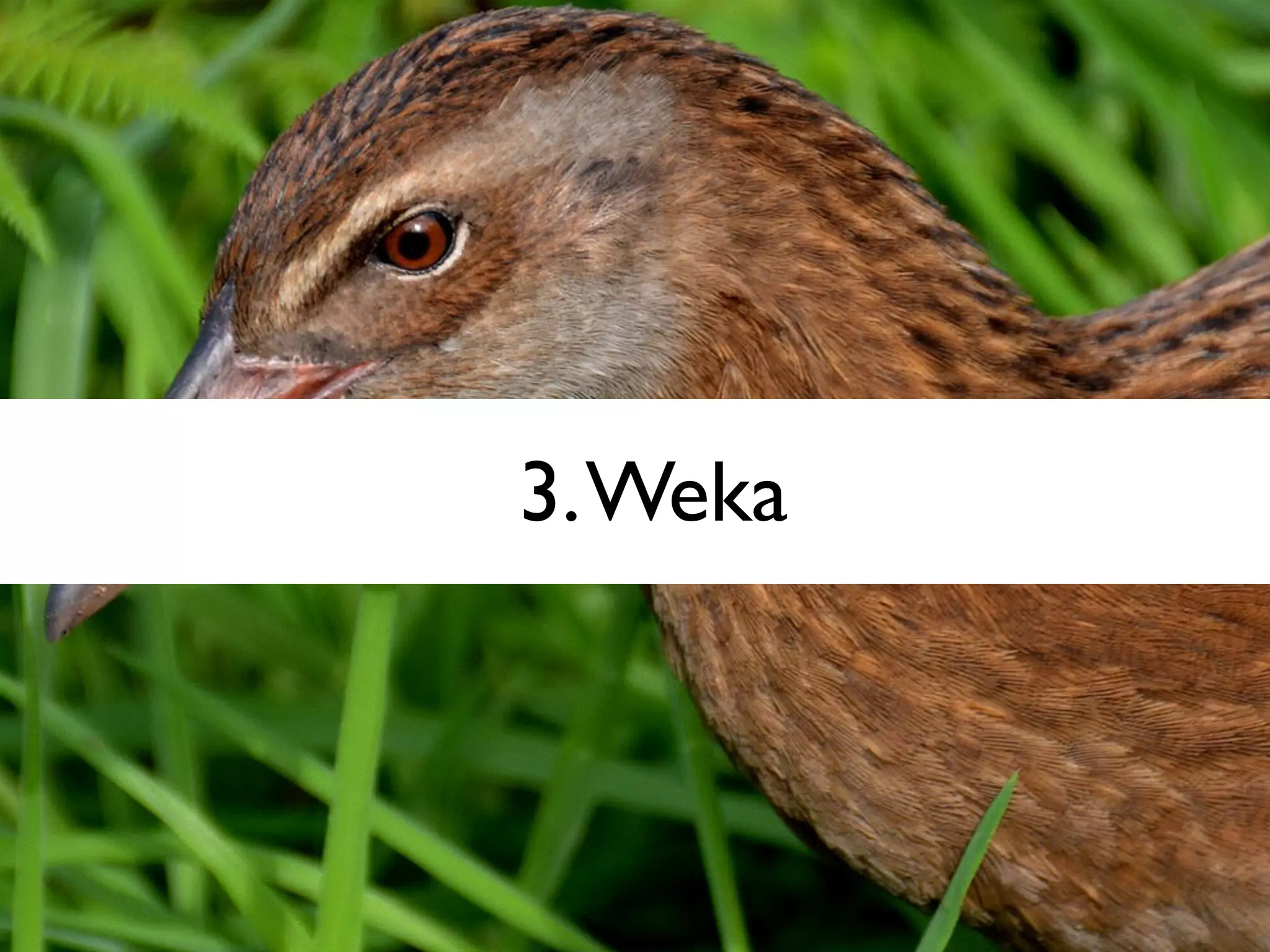 3.Weka
 