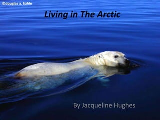Living in The Arctic
By Jacqueline Hughes
 