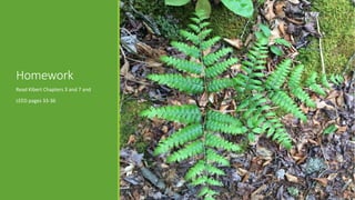 Homework
Read Kibert Chapters 3 and 7 and
LEED pages 33-36
 