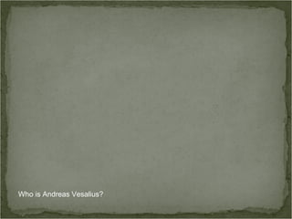 Who is Andreas Vesalius?
 