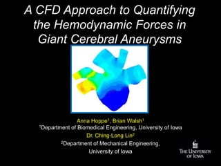 A CFD Approach to Quantifying the Hemodynamic Forces in Giant Cerebral Aneurysms  Anna Hoppe1, Brian Walsh1 1Department of Biomedical Engineering, University of Iowa Dr. Ching-Long Lin2 2Department of Mechanical Engineering,  University of Iowa   