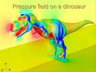 42
Pressure field on a dinosaur
 