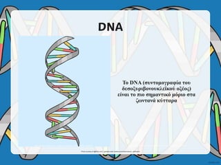 cfe2-s-11-facts-about-dna-powerpoint-Ελληνικά.ppsx